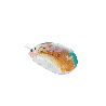 MOUSE USB XTM-D406PS PRINCESA XTECH 1200DPI/3 BOT PSJ