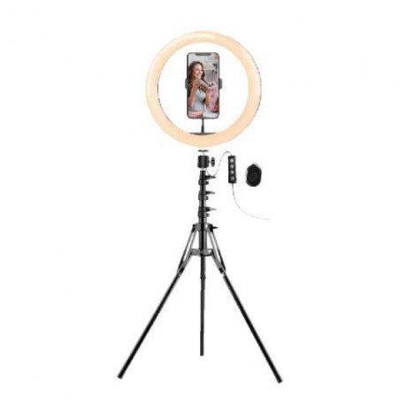 SPOTLIGHT ARO ARG-LP-9320BK C/TRIP/BT/SOPORTE P/CE