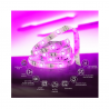IOT NEXXT KIT BASE CINTA LED COLOR 12W/5M/RGB/ NHB-S611