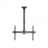 SOPORTE TV ARG-BR-1626 DE TECHO 600X400