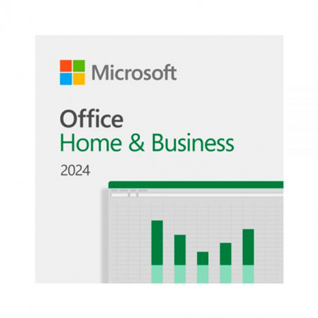 MS OFFICE HOME AND BUSINNESS 2024 EP2-06608 ESD