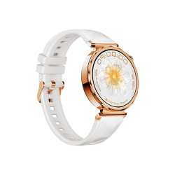 SMARTWATCH FTXAM35-GG 42MM GOLD/GRIS 123149